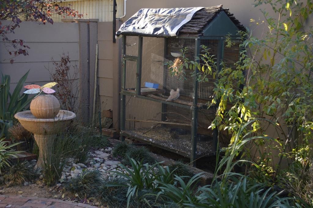 Two Bells Guest House Bloemfontein Buitenkant foto